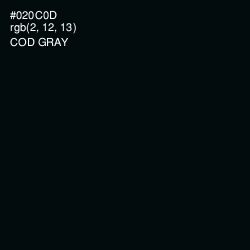 #020C0D - Cod Gray Color Image